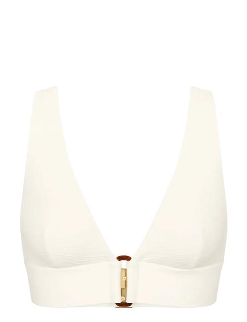 Triumph | Summer Dune P | B x 36