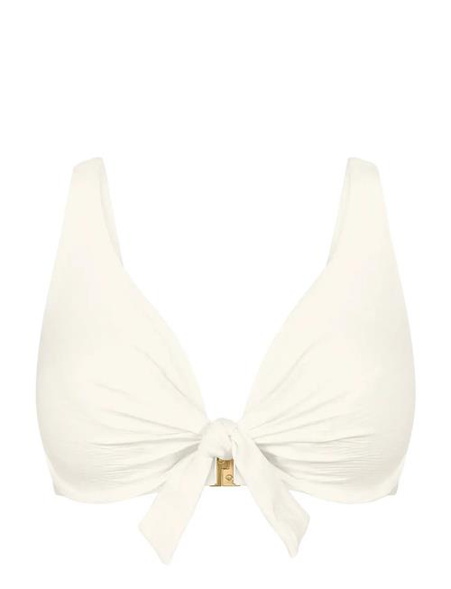 Triumph | Summer Dune W | D x 38