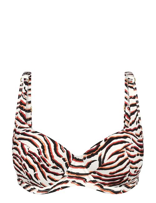 Triumph | Summer Wild Wp | C x 38