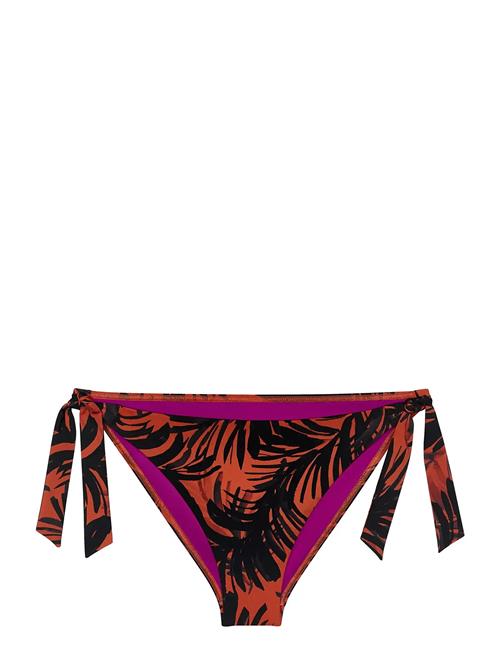 Triumph | Summer Palm Tai | 38