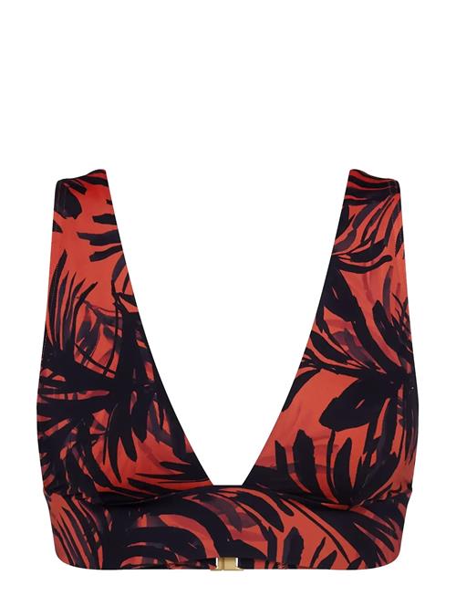 Triumph | Summer Palm P | B x 38