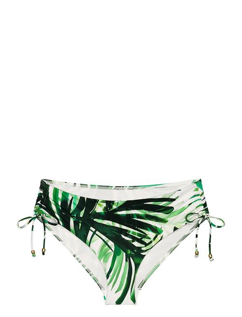 Triumph | Summer Palm Midi 01 | 42