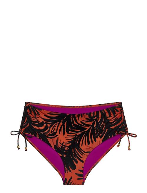 Triumph | Summer Palm Maxi | 40