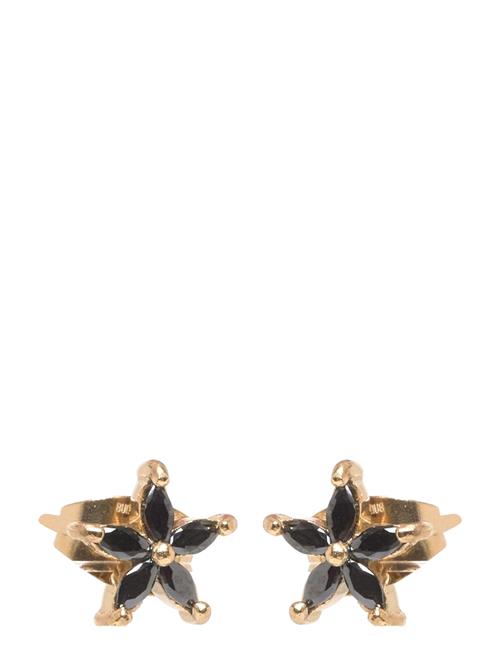 Bud to rose | Ivy Crystal Earring Black/Gold | ONE SIZE