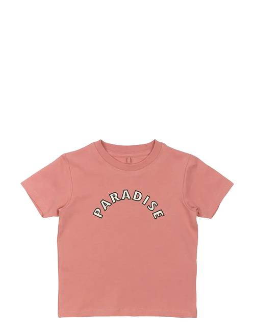 The New | Tnstophelia S_S Tee | 110