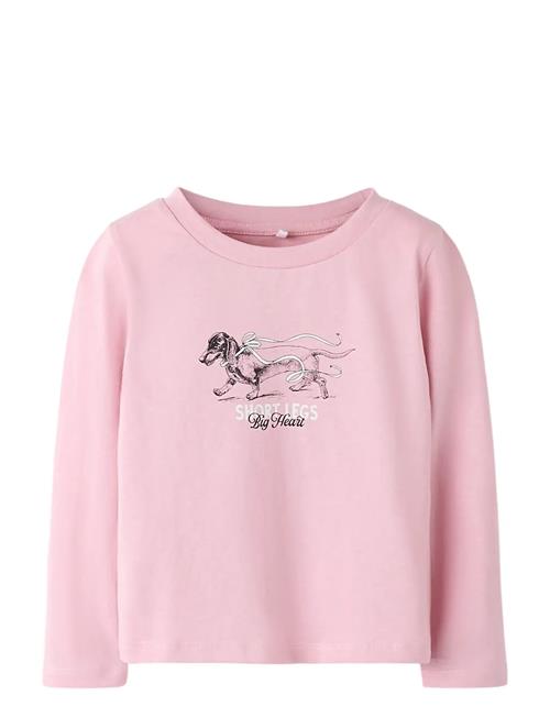 name it | Nmfsigne Ls Nreg Top | 110