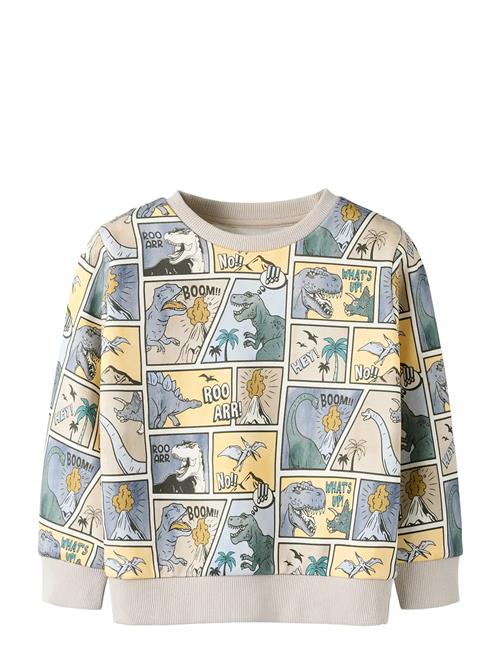 name it | Nmmsikalas Ls Nreg Swe Bru | 92