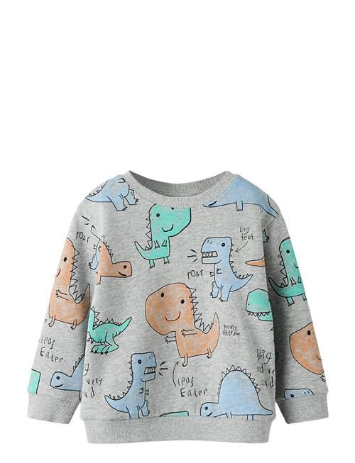 name it | Nmmsikko Ls Nreg Swe Bru | 110