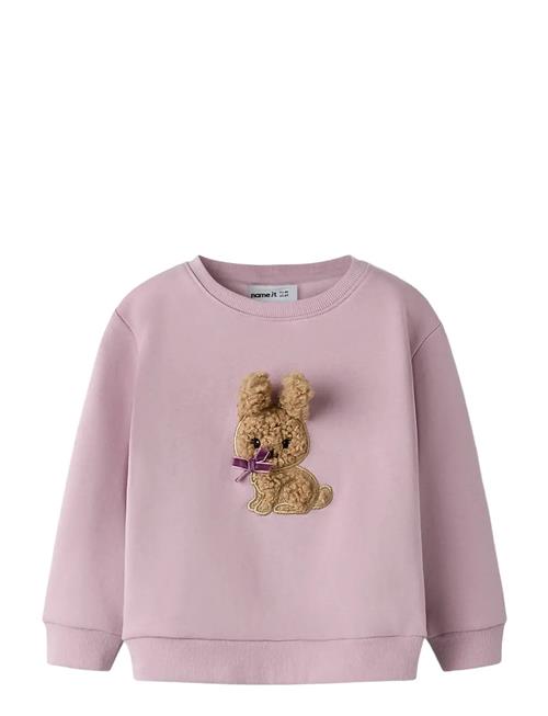 name it | Nmfsilia Ls Nreg Swe Bru | 104