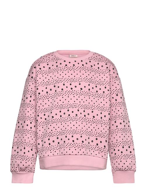 Kids Only | Kmgappalosa L/S Loose Life Pullo Bru Swt | 122