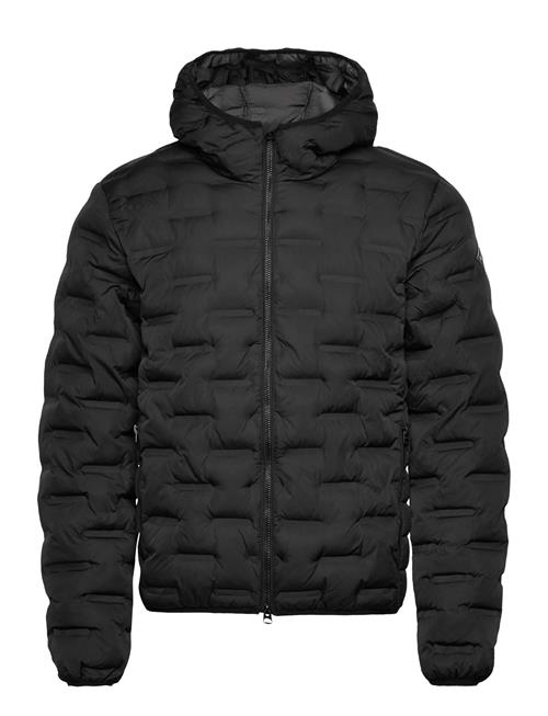 Replay | Jacket Regular_Slim | M