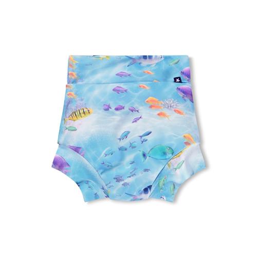 Molo Nick Badebukser Rainbow Sea  Rainbow Sea 74/80 cm  Blå  74/80 cm  unisex