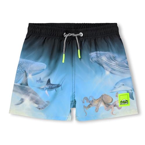 Molo Niko Board Shorts Air Brush Deep  Air Brush Deep 134/140 cm  Blå  134/140 cm  mand