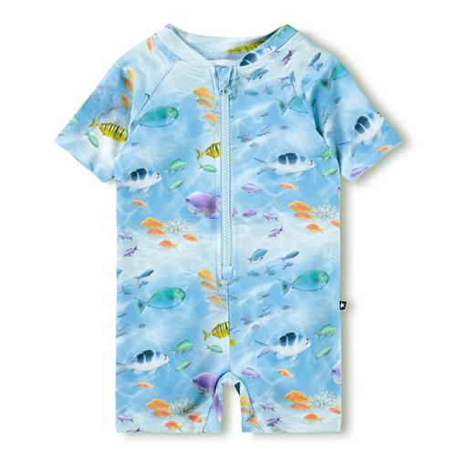 Molo Neka Rushguard I Ét Stykke Rainbow Sea  Rainbow Sea 74/80 cm  Blå  74/80 cm  unisex