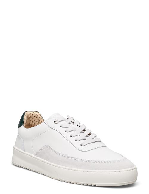 Filling Pieces | Mondo Squash White | 37