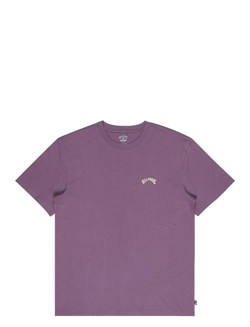 Billabong | Arch Crew Ss | L