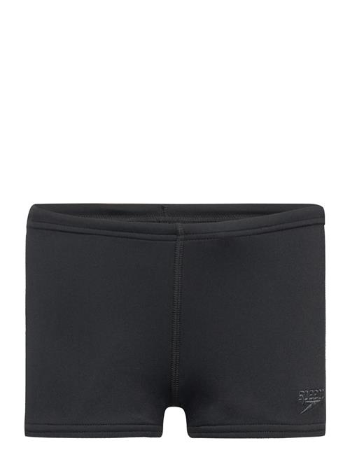 Speedo | Endurance+ Aquashort | 116