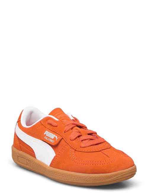 PUMA | Palermo Ps | 34
