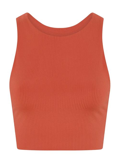 Girlfriend Collective | Rib Dylan Bra | XXXXL