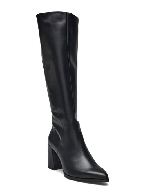 Wonders | Daily | 39