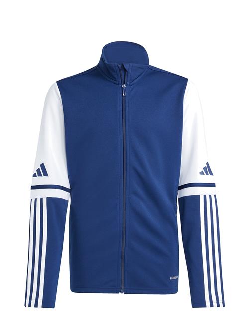 adidas Performance | Sq25 Tr Jkt Y | 176