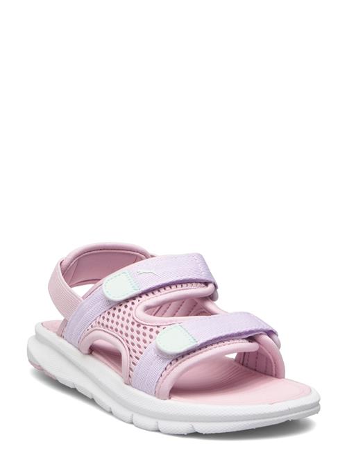PUMA | Puma Evolve Sandal Ps | 32