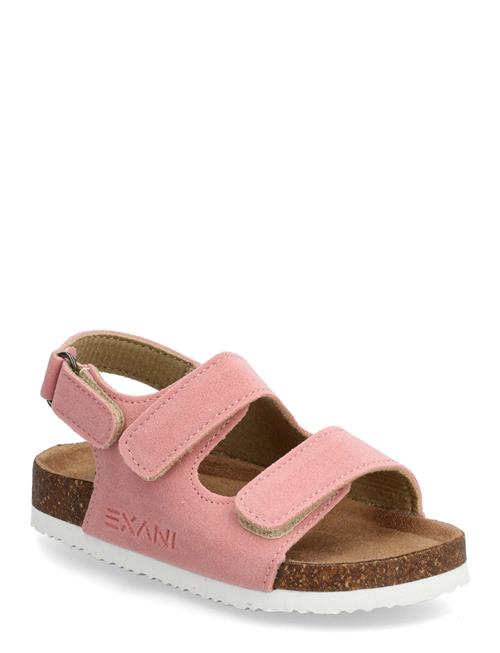 Exani | Spectra K | 27