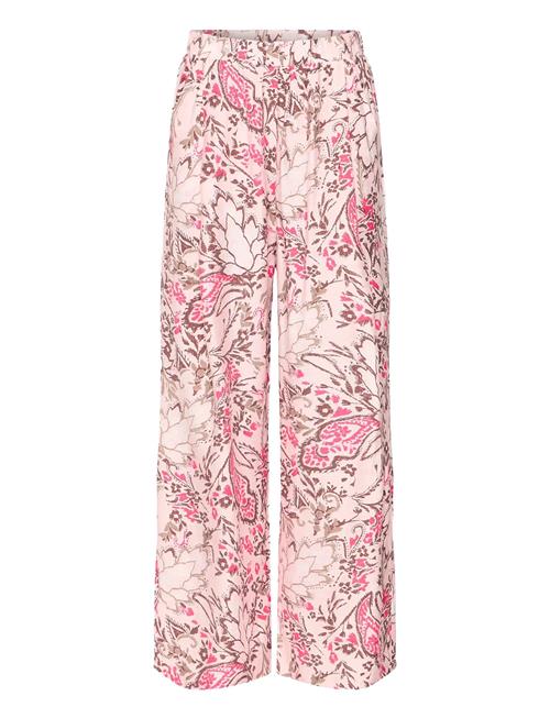 Fransa | Frariana Pa 3 | XL