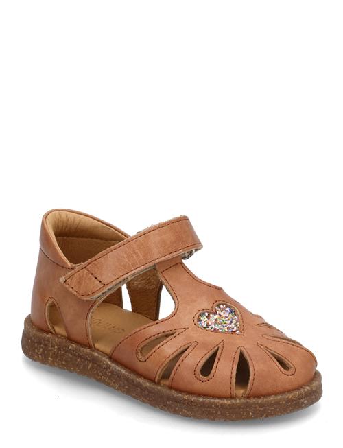 ANGULUS | Sandals - Flat  - Closed Toe | 31