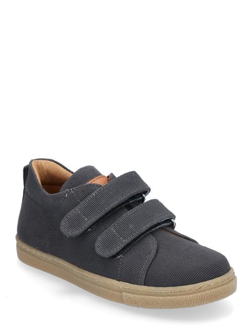 ANGULUS | Shoes - Flat - With Velcro | 32 x 20.90