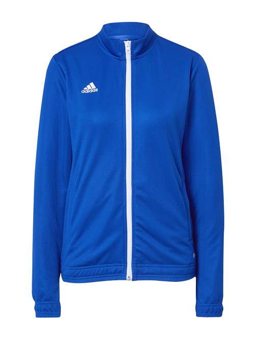 ADIDAS PERFORMANCE Sportsjakke 'Entrada 22'  royalblå / hvid