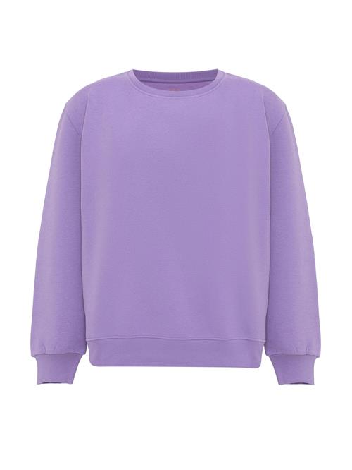 Jacey Quinn Pullover  lilla