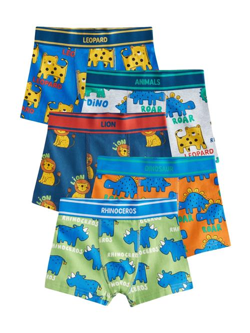 Next Underbukser  blå / gul / orange / rød / hvid