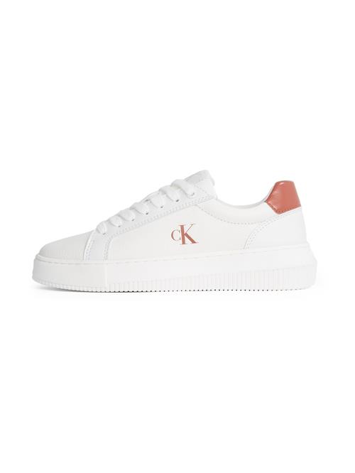 Calvin Klein Sneaker low  rustbrun / hvid