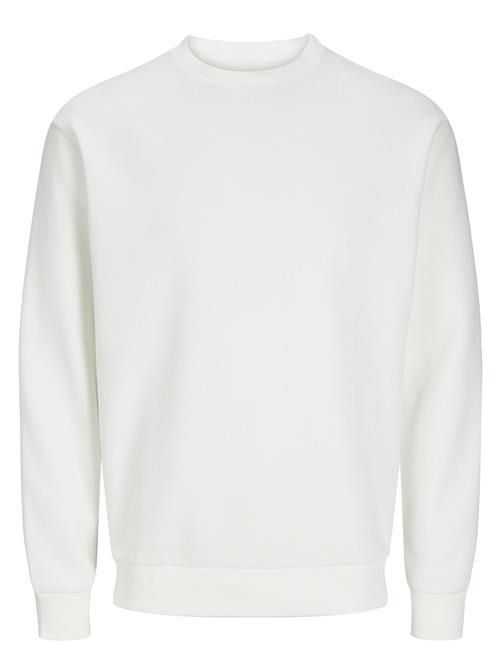 Jack & Jones | Jjebradley Sweat Crew Noos | XXL