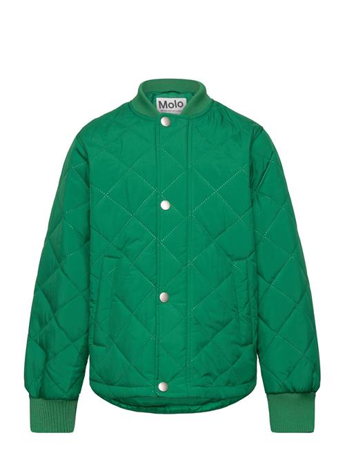 Molo | Hallow | 146-152