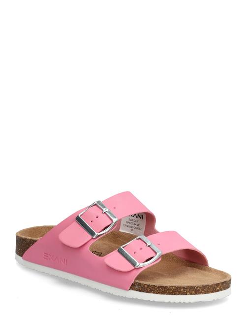 Exani | Spectra W | 39