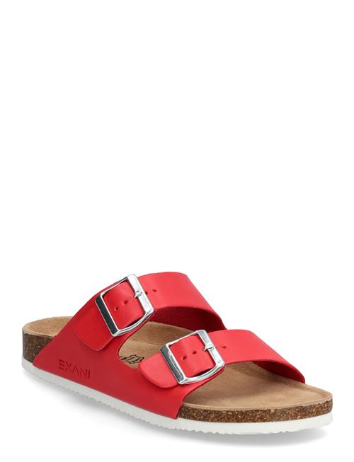 Exani | Spectra W | 36