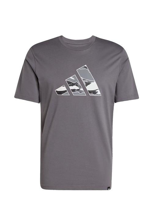 adidas Sportswear | M Camo Logo T | M