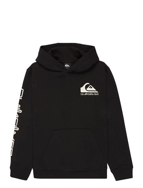 Quiksilver | Omni Logo Hoodie Youth | 14