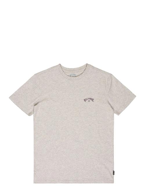 Billabong | Arch Wave Ss | M