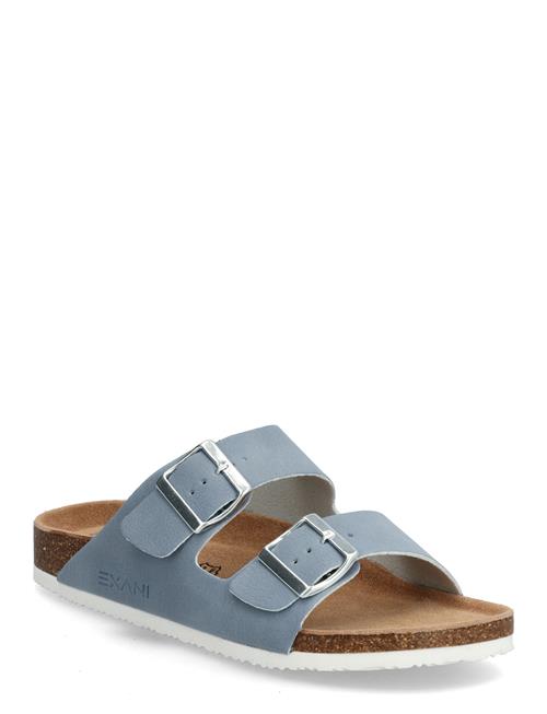 Exani | Spectra W | 37