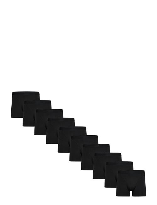 Claudio | Claudio 10-Pack Tights | M