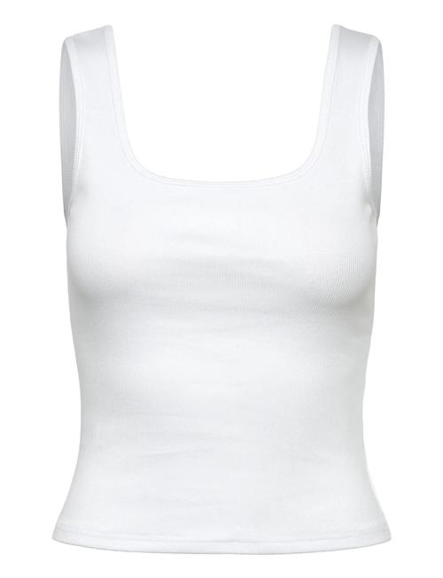 Björn Borg | Original Rib Tank | XS