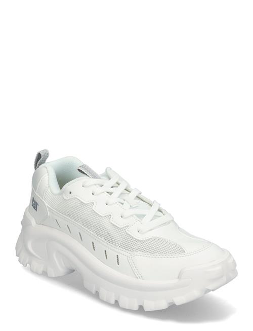 Caterpillar | Men's Intruder Lite Vent - Bright White | 43