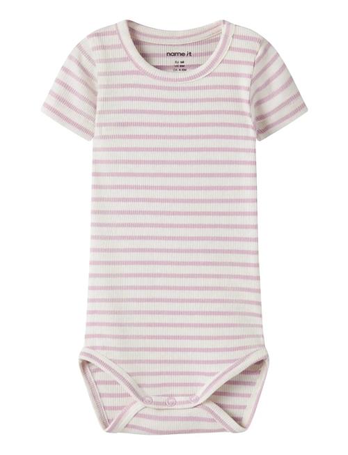 name it | Nbnbani Ss Body Noos | 50