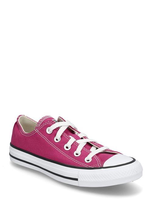 Converse | Ctas Ox Berry Smoothie | 36.5