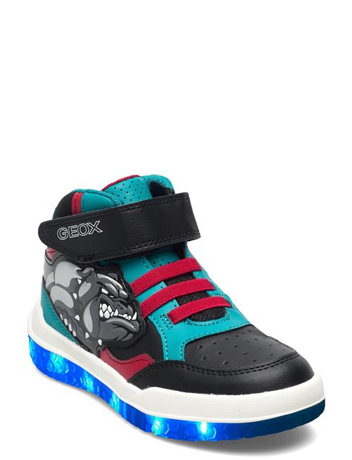 GEOX | J Buzzerlight Boy A | 25