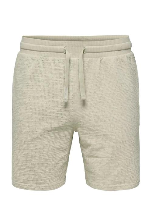 ONLY & SONS | Onskian Life Reg Seersucker Shorts Noos | L