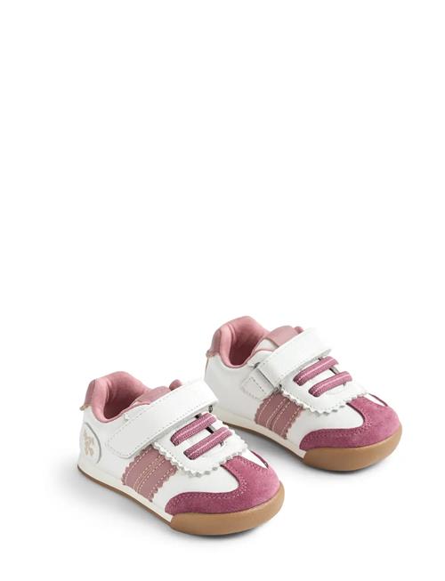 Wheat | Sneaker Spectra | 26